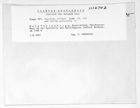 Puccinia calthae image
